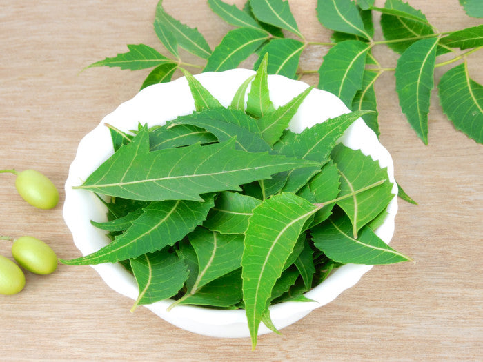 Impressive Benefits Of Neem