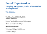 Portal Hypertension: Imaging, Diagnosis, and Endovascular Management